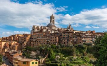 Jakie są możliwe sposoby rozwoju przedsiębiorstw?